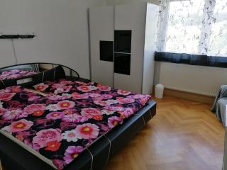 Flat near the Tannenbergsthal ski resort, cleaning included - Muldenhammer - 6