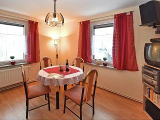 Flat near the Tannenbergsthal ski resort, cleaning included - Muldenhammer - 0