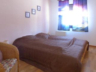 Apartment in Frankenau near Forest Trails, cleaning included - Frankenau - 4