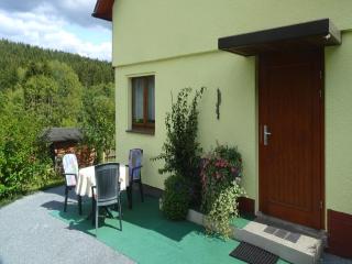 Apartment with terrace in Saxony, cleaning included - Schwarzenbrunn - 3