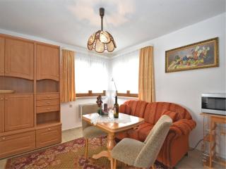Apartment with terrace in Saxony, cleaning included - Schwarzenbrunn - 2