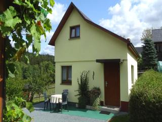 Apartment with terrace in Saxony, cleaning included - Schwarzenbrunn - 4