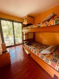 Casa orilla Lago Colbun en Bosque Nativo - Colbún Alto - 1