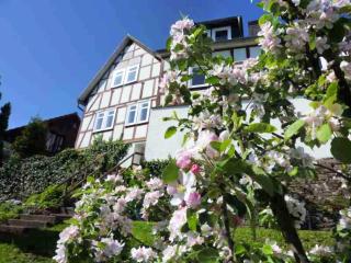 Apartment near the Battenberg ski area, cleaning included - Battenberg - 9