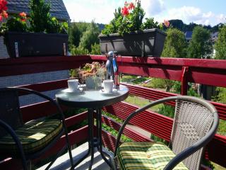 1st floor apartment near Willingen, cleaning included - Willingen - 6