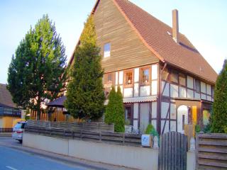 Apartment in Löwensen near Horse Riding, cleaning included - Bad Pyrmont - 4