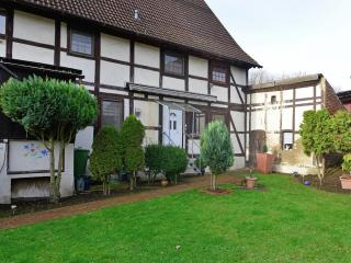 Apartment in Löwensen near Horse Riding, cleaning included - Bad Pyrmont - 3