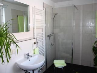 Modern Apartment in Weißig Saxony with garden, cleaning included - Struppen - 4
