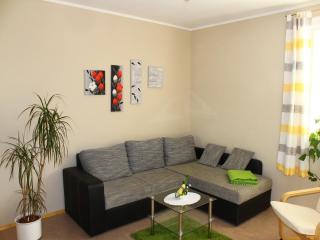 Modern Apartment in Weißig Saxony with garden, cleaning included - Struppen - 0
