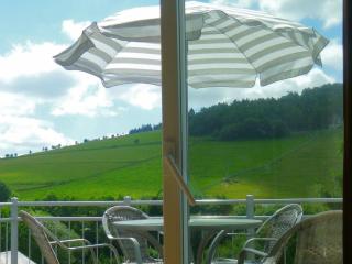 Modern Apartment in Willingen near Ski Lift, cleaning included - Willingen - 4