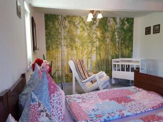 Charming holiday home with natural garden, cleaning included - Unterweid - 1