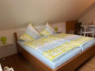 Apartment in Merlsheim with Garden, cleaning included - Nieheim - 6