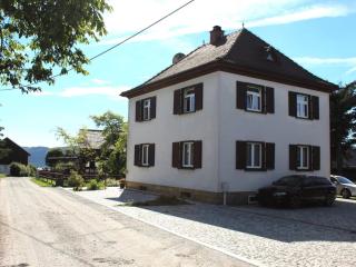 Holiday apartment in Switzerland National Park, cleaning included - Lichtenhain - 9