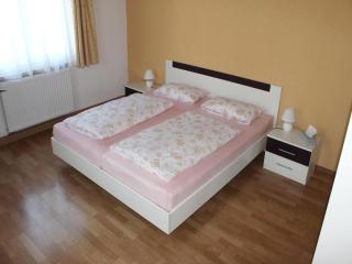 Holiday apartment in Switzerland National Park, cleaning included - Lichtenhain - 6
