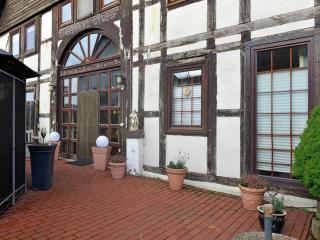 Apartment in Löwensen with terrace, cleaning included - Bad Pyrmont - 3