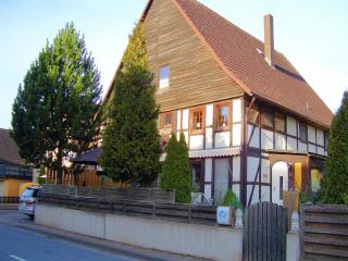 Apartment in Löwensen with terrace, cleaning included - Bad Pyrmont - 4