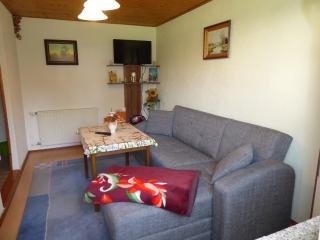 Terrassen-Retreat in Sachsen, cleaning included - 5
