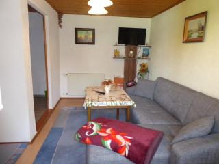 Apartment with private terrace in Lichtenhain, cleaning included - Lichtenhain - 0