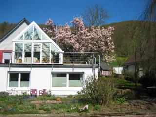 Apartment in Bad Pyrmont near Thermal Baths, cleaning included - Löwensen - 8
