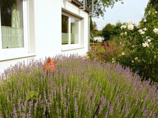 Apartment in Bad Pyrmont near Thermal Baths, cleaning included - Löwensen - 0