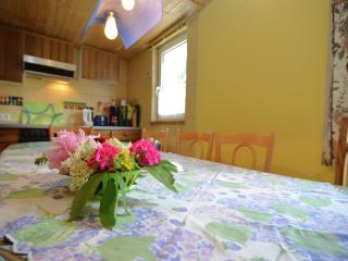 Chalet in Lonau near Ski Slopes and Castle, cleaning included - Herzberg am Harz - 1