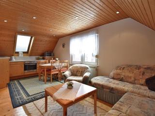 Holiday home near the Klingenthal ski resort, cleaning included - Hohengrün - 4