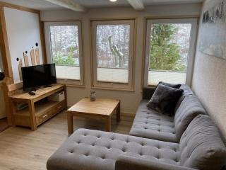 Detached holiday home in the Harz with wood stove, cleaning included - Güntersberge - 0