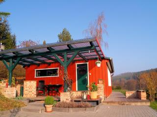 Detached holiday home in the Harz with wood stove, cleaning included - Güntersberge - 9