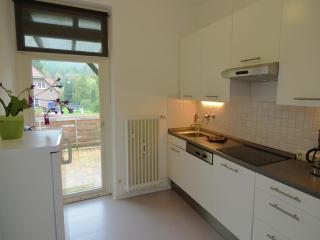 Holiday Home in Bad Pyrmont with Garden Views, cleaning included - Bad Pyrmont - 8