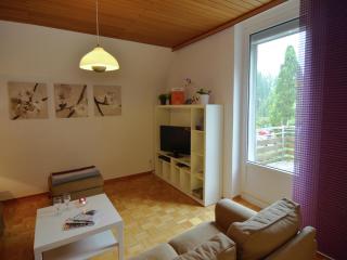 Holiday Home in Bad Pyrmont with Garden Views, cleaning included - Bad Pyrmont - 3