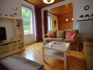 Holiday Home in Bad Pyrmont with Garden Views, cleaning included - Bad Pyrmont - 1