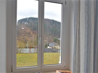 Villa in Borstendorf near Ore Mountains, cleaning included - Grünhainichen - 3