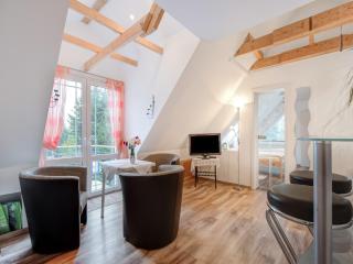 Apartment in Berlin with Sauna and Garden, cleaning included - - 9