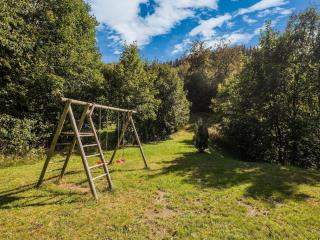 Chalet in Willingen near Ski Lift, cleaning included - Willingen - 5