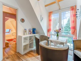 Apartment in Berlin with Sauna and Garden, cleaning included - - 1