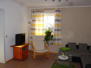 Spacious Apartment in Weißig with Garden, cleaning included - Struppen - 1
