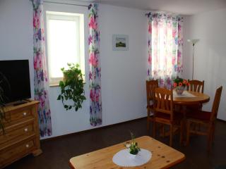 Apartment in Weibig with garden, cleaning included - Struppen - 2