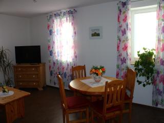Apartment in Weibig with garden, cleaning included - Struppen - 3