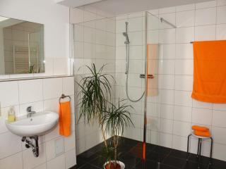 Apartment in Weibig with garden, cleaning included - Struppen - 5