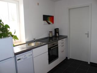 Apartment in Weibig with garden, cleaning included - Struppen - 1