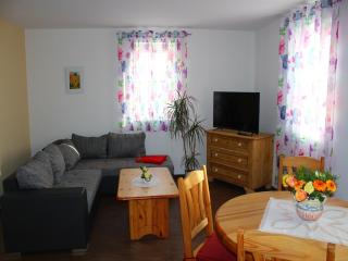 Apartment in Weibig with garden, cleaning included - Struppen - 8