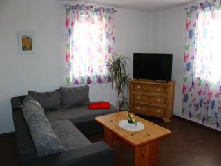 Apartment in Weibig with garden, cleaning included - Struppen - 4