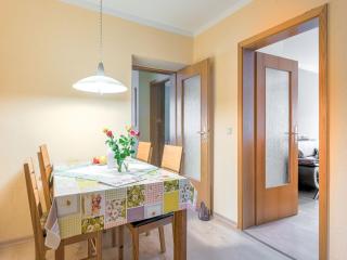 Apartment in Rauschenbach near Ore Mountains, cleaning included - Rauschenbach - 0