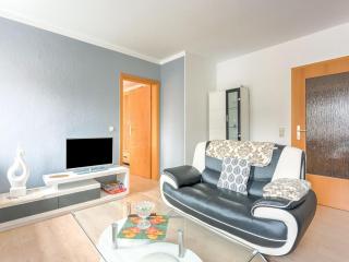 Apartment in Rauschenbach near Ore Mountains, cleaning included - Rauschenbach - 9