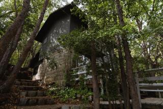 Casa orilla Lago Colbun en Bosque Nativo - Colbún Alto - 3