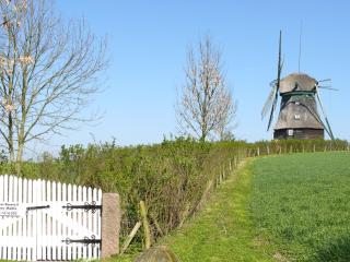 Historic Mill in Holstein with Scenic Views, cleaning included - - 2