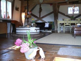 Historic Mill in Holstein with Scenic Views, cleaning included - - 4