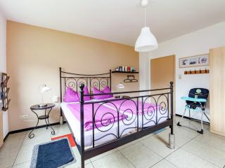 Dog-friendly holiday home in Hesse with garden, cleaning included - - 6