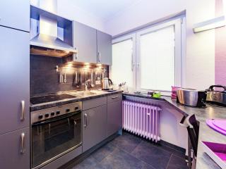 Dog-friendly holiday home in Hesse with garden, cleaning included - - 0