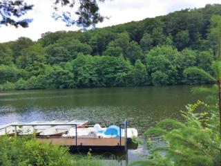 Holiday home Harzgerode - Harzgerode - 2
